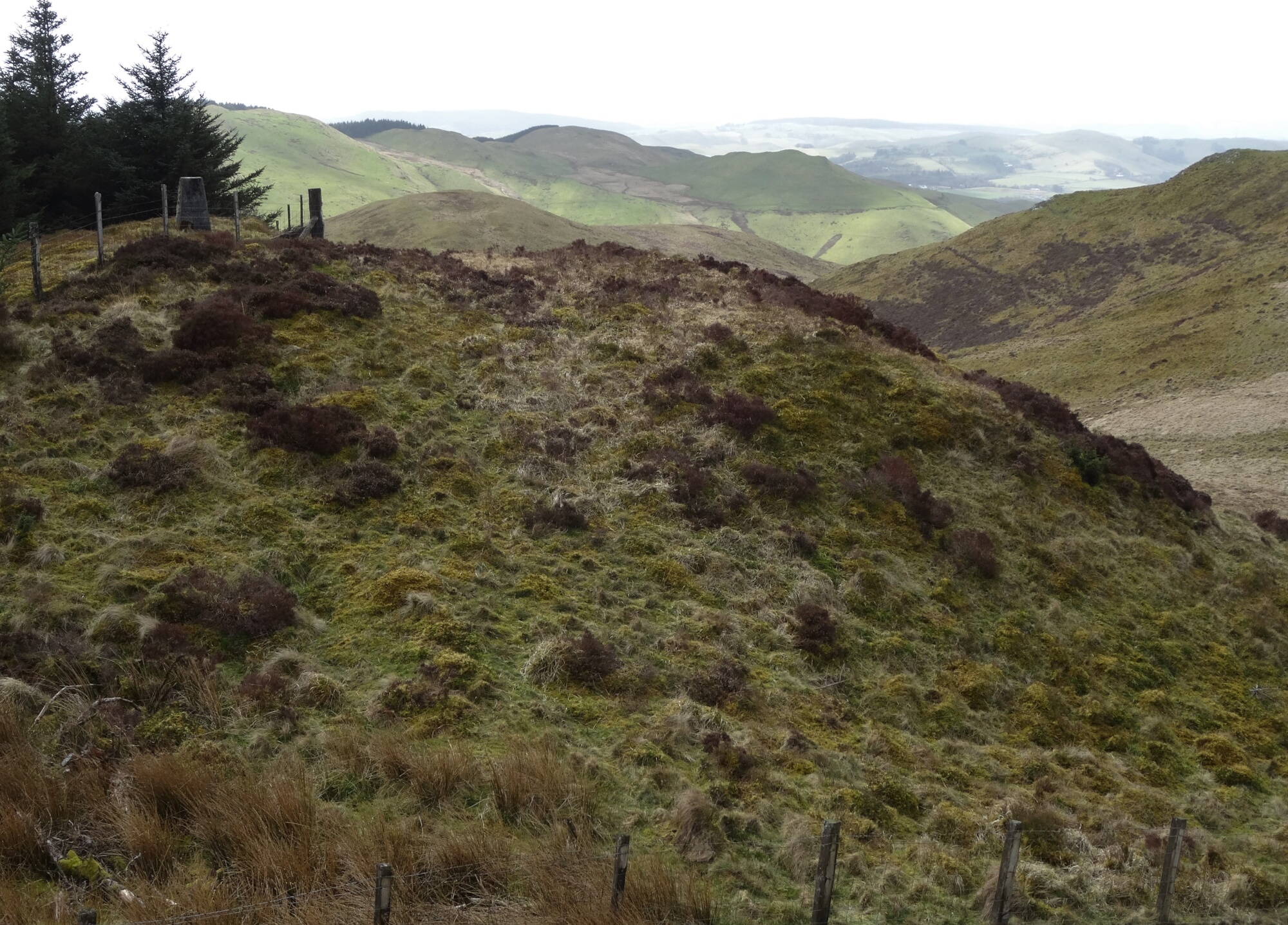 RachelSeabrook.net | Wild Walking | Ponterwyd and Pen Dihewyd | pic19